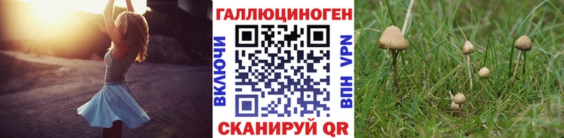 Псилоцибиновые грибы ЛСД как найти Слободской