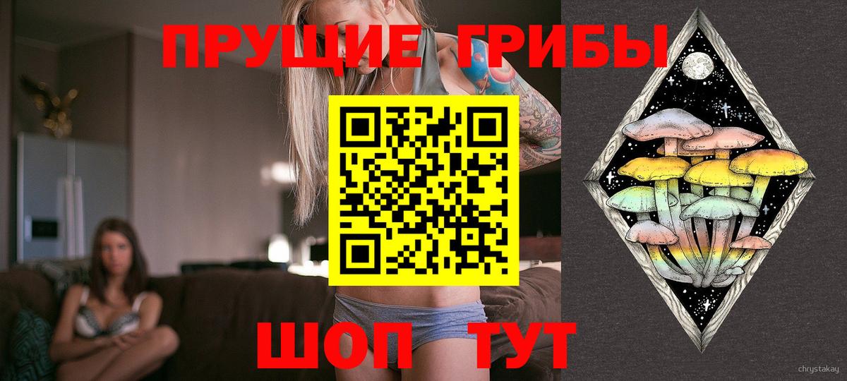 купить наркотики цена  Вход с VPN  Слободской  Галлюциногенные грибы Psilocybine cubensis 