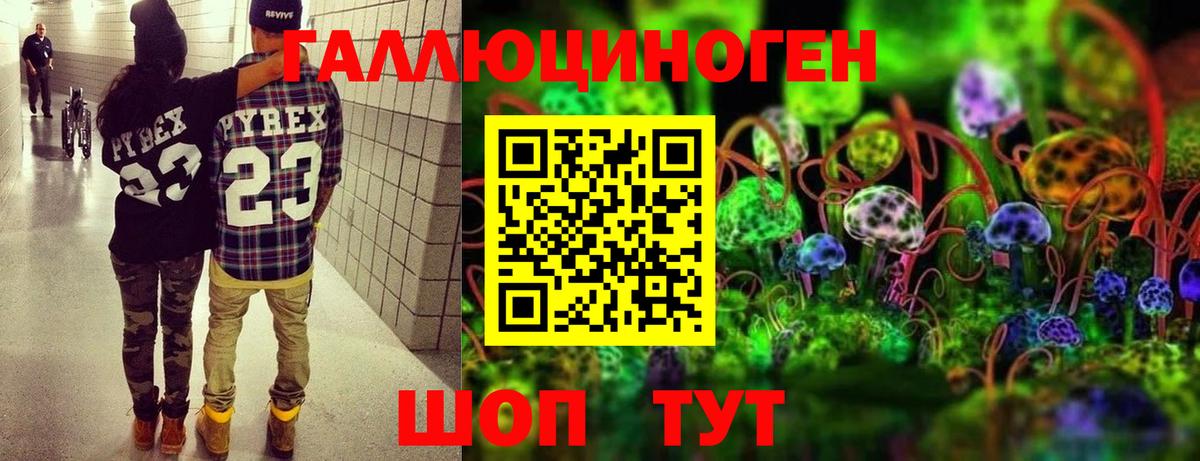 Псилоцибиновые грибы GOLDEN TEACHER Слободской